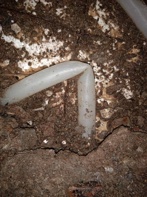 南木林堵点精准查找